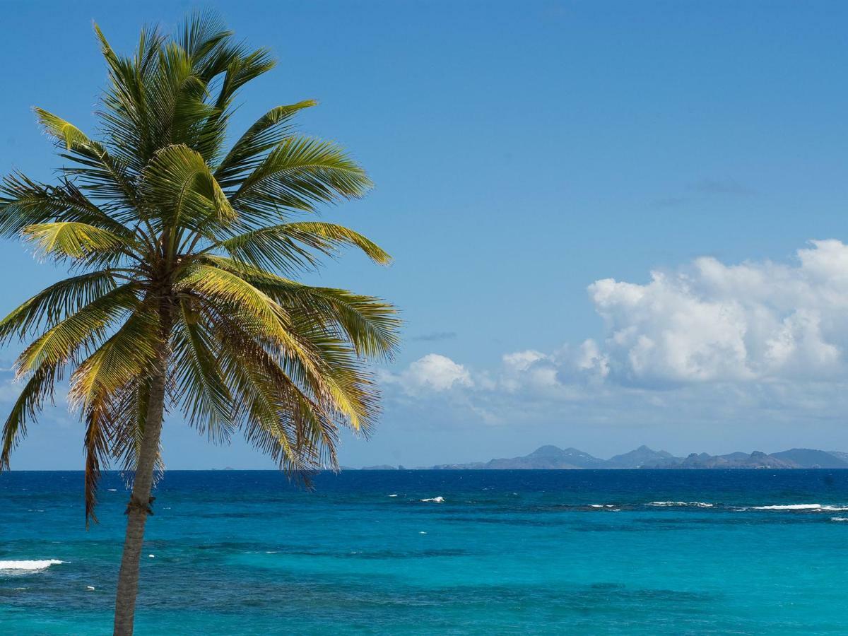 Coral Beach Club Villas & Marina Sint Maarten Ngoại thất bức ảnh